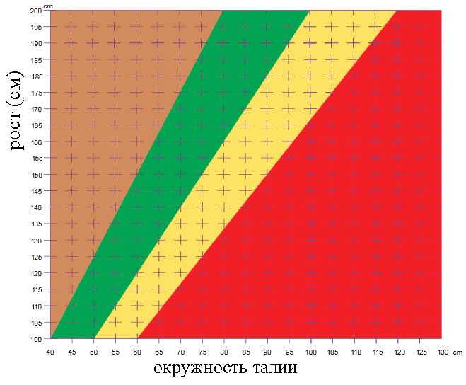 Таблица соотношений роста и окружности талии при нормальном и лишнем весе.2